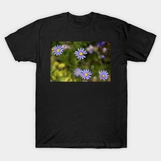 Asters T-Shirt